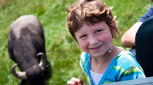 Checking out the Water Buffalo at Lake Tobias Wildlife Park