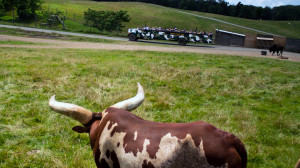 Lake Tobias Wildlife Park