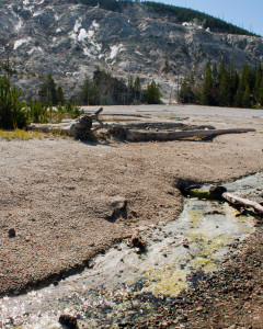 Roaring Mountain in Yellowstone National Park